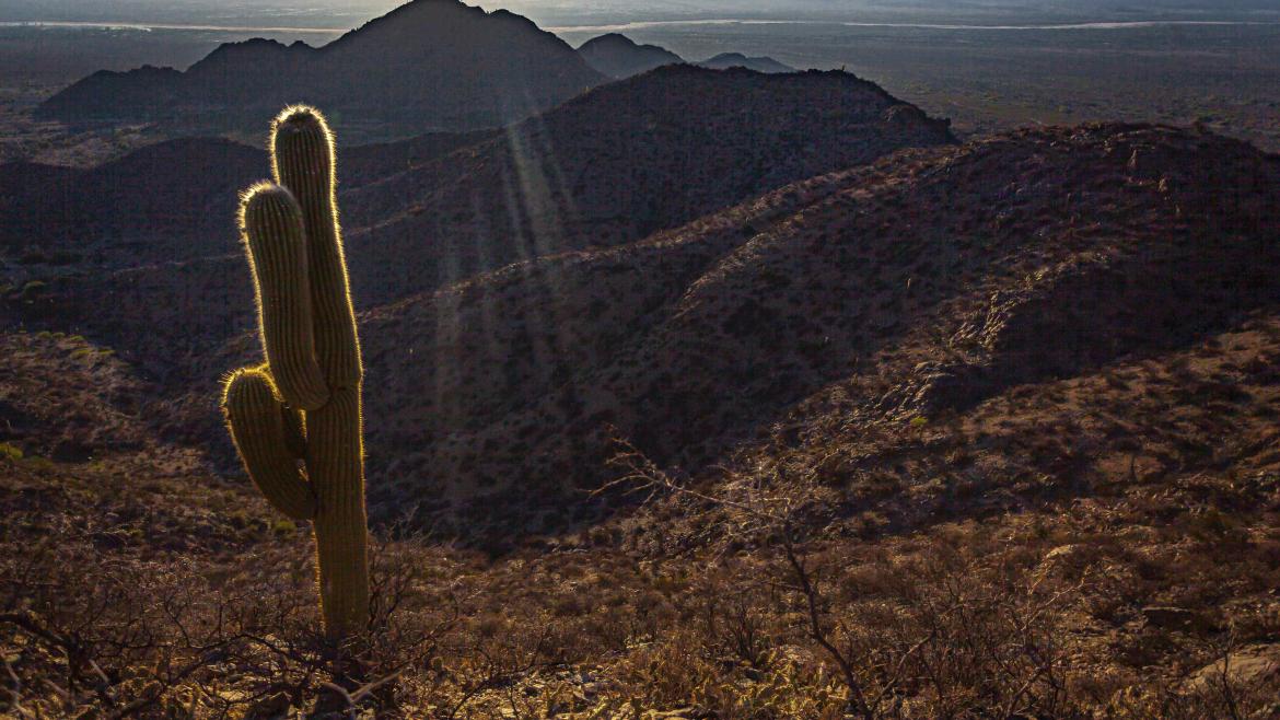 En 41 kilómetros de la Ruta 40, un resumen de la historia, la cultura ancestral y la producción