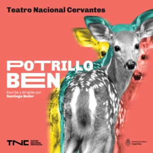 potrillo-ben