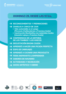 domingo29 