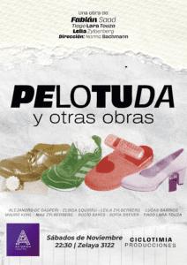 pelotuda-afiche