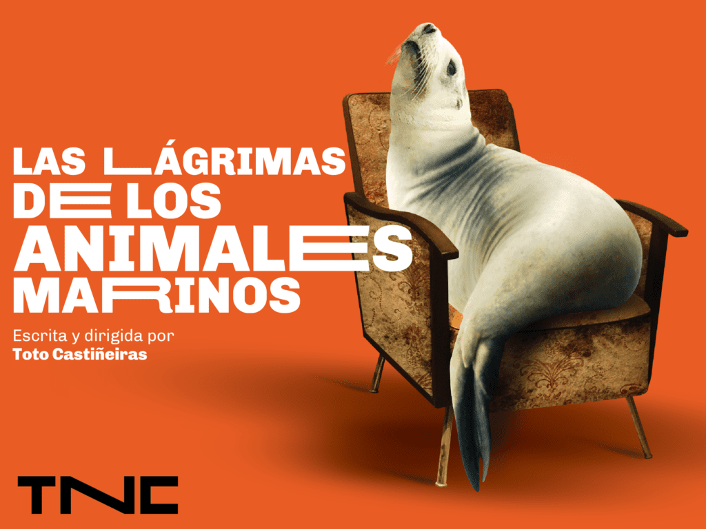 Estreno: Las lágrimas de los animales marinos